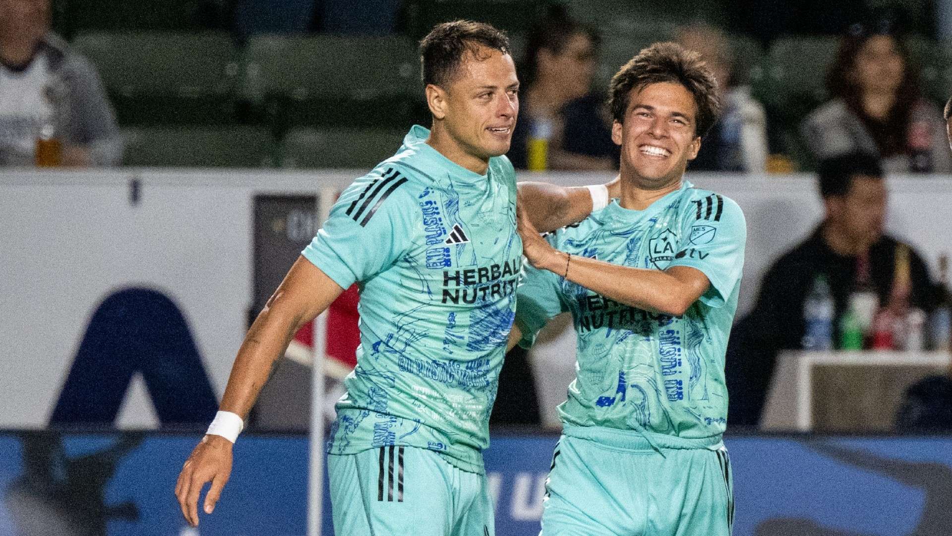 高知特精英 高知特精英