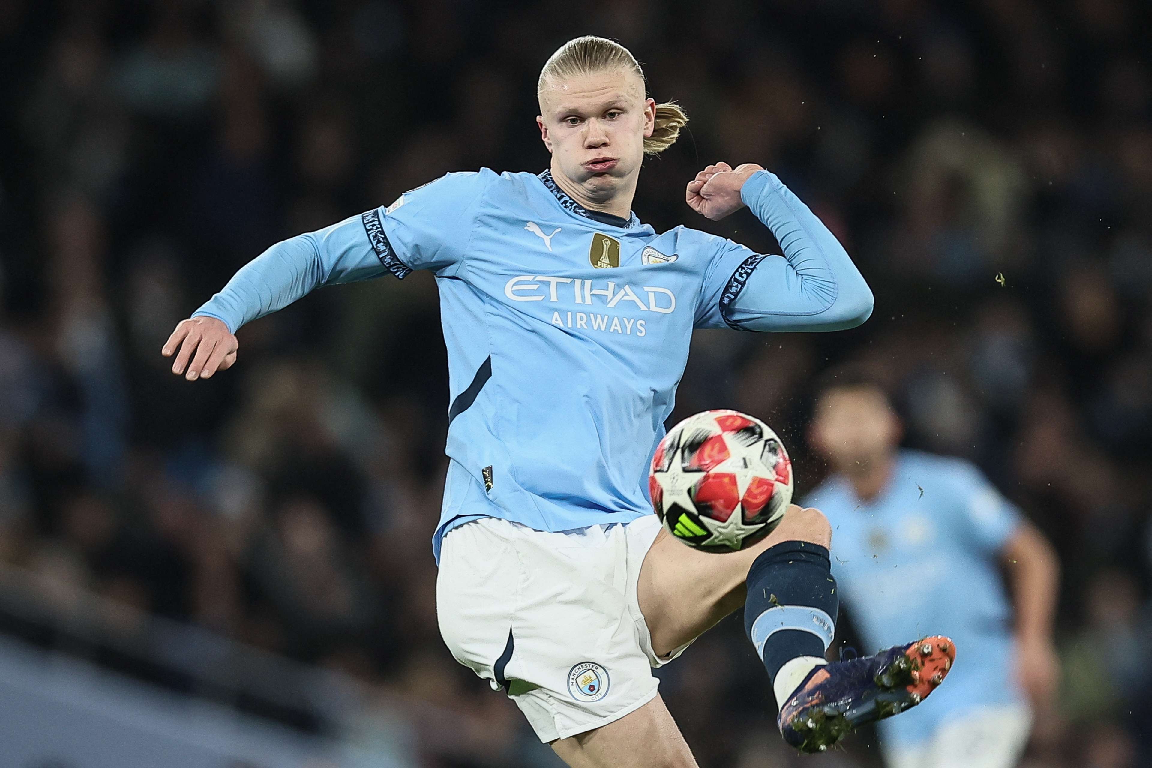 各队球迷也 各队球迷也